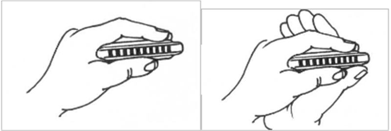 Hướng dẫn cầm kèn Harmonica chuẩn - Thế giới nhạc cụ nhập khẩu chính hãng