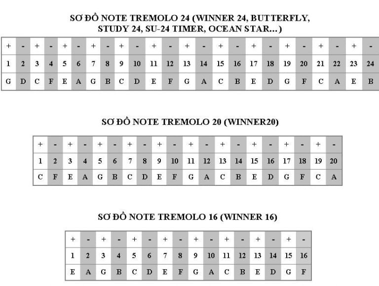 Cách thổi kèn Harmonica Tremolo Thế giới nhạc cụ nhập khẩu chính hãng