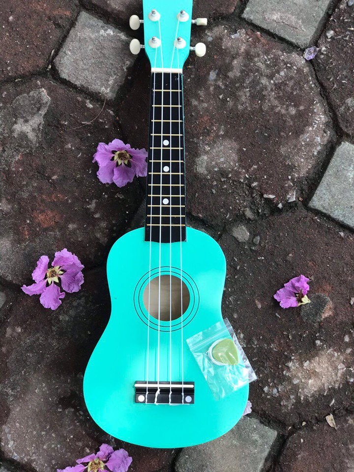 cách tự học đàn ukulele