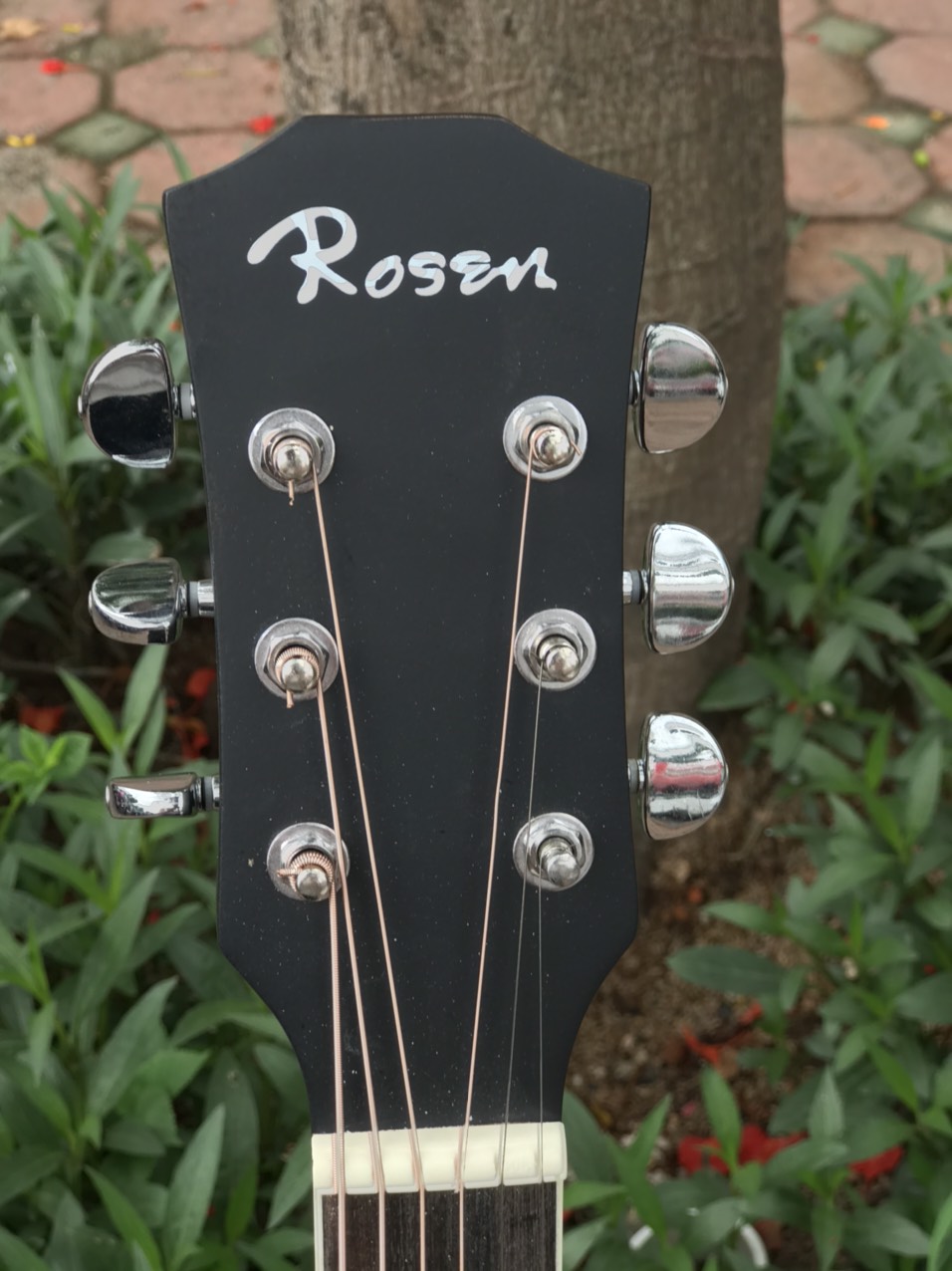 Đàn Guitar Acoustic Rosen R135BK