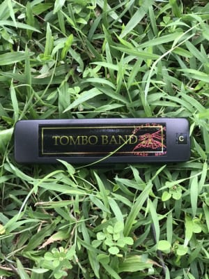 SolG - Nhạc cụ chính hãng